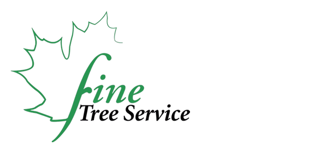 Fine Tree Service Inc.